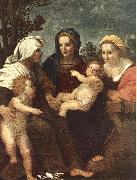 Andrea del Sarto Madonna and Child with Sts Catherine, Elisabeth and John the Baptist Spain oil painting artist